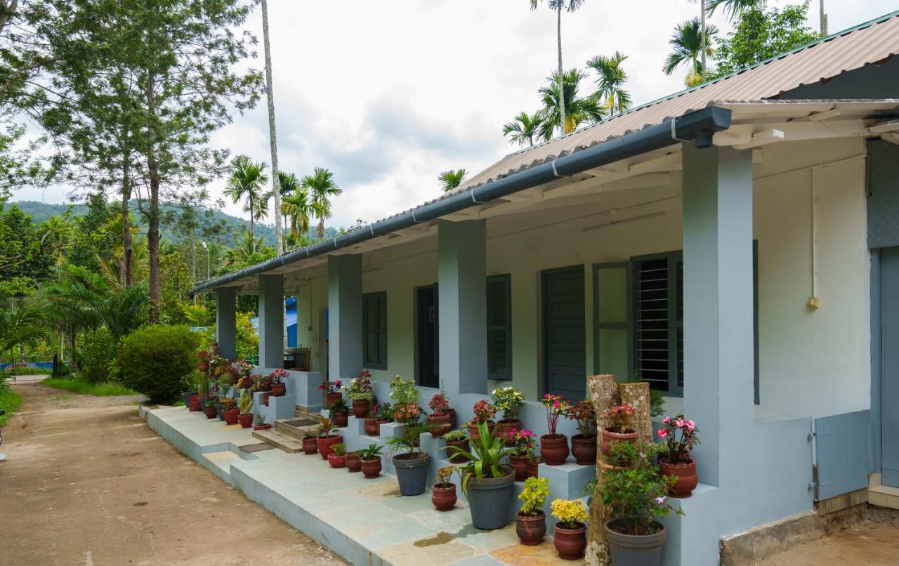 Mystic Trees, Kumily Apartman Thekkady Kültér fotó
