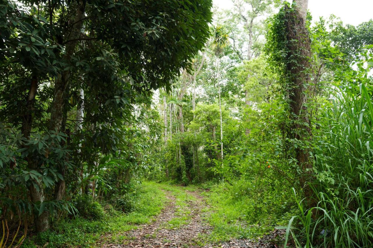 Mystic Trees, Kumily Apartman Thekkady Kültér fotó