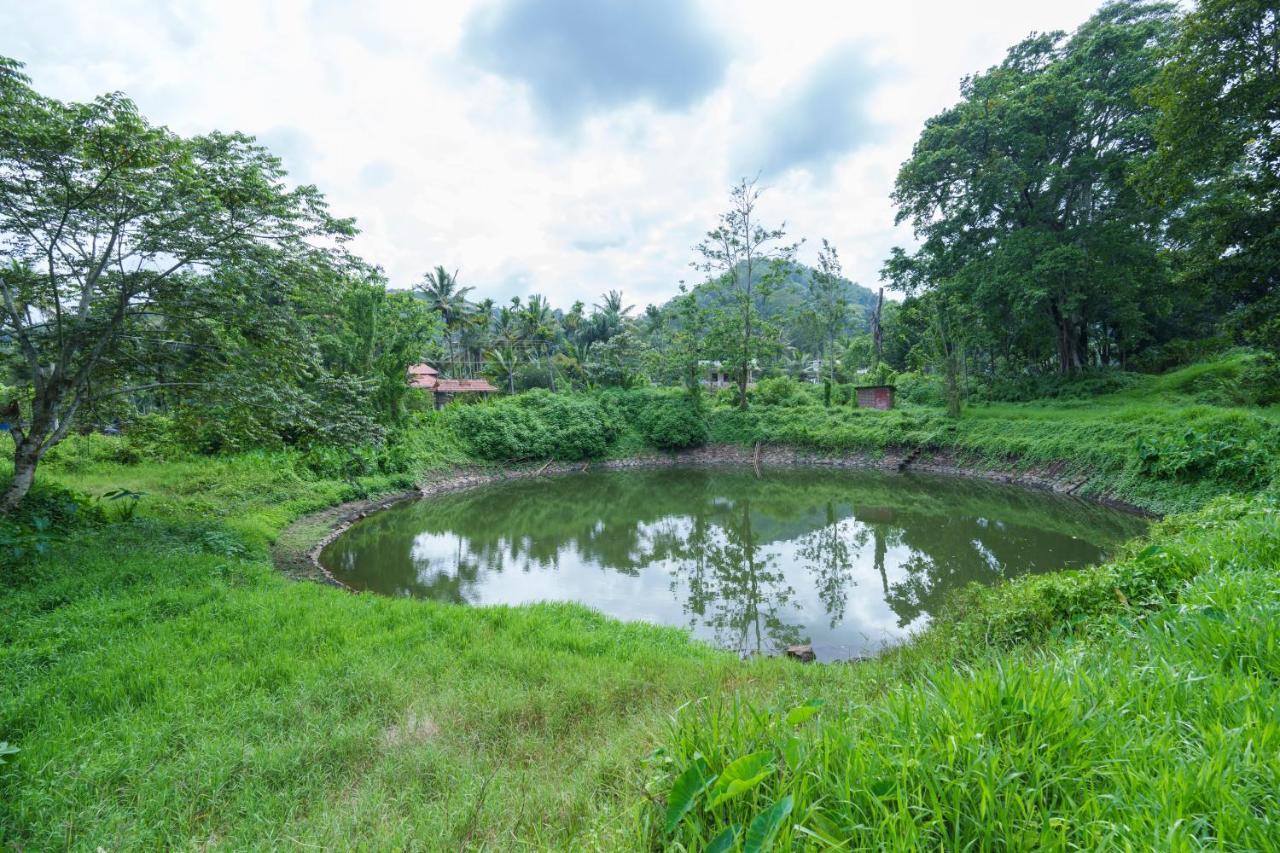 Mystic Trees, Kumily Apartman Thekkady Kültér fotó
